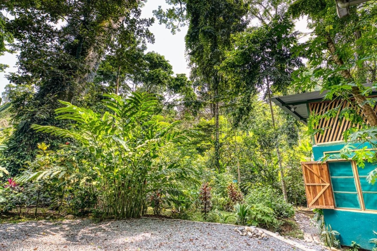 The Green Jungle Cabinas - Playa Chiquita Hotel Puerto Viejo de Talamanca Exterior foto