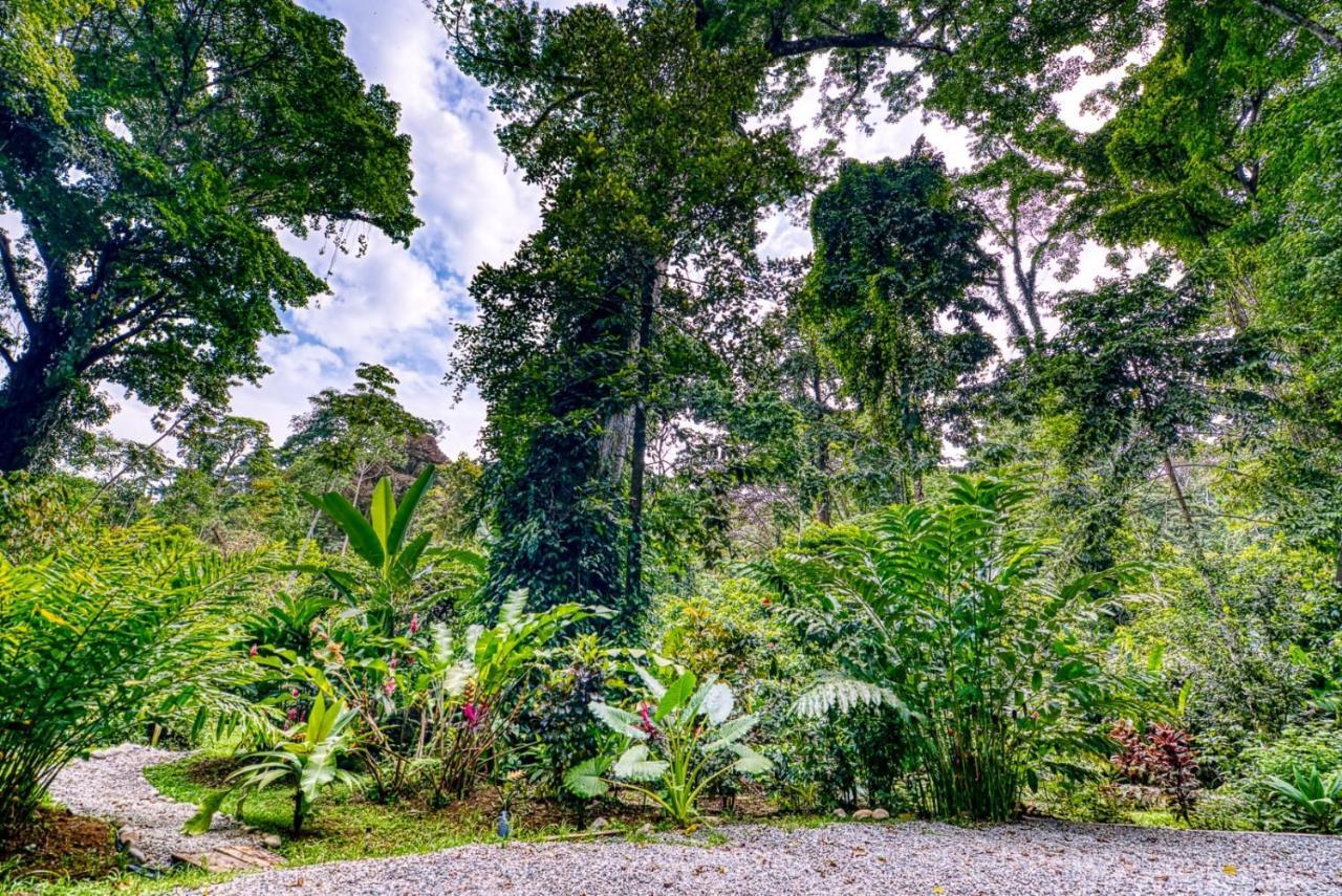 The Green Jungle Cabinas - Playa Chiquita Hotel Puerto Viejo de Talamanca Exterior foto